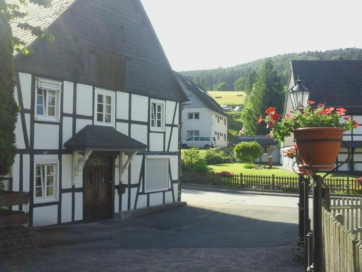 Am Bach Villa Olsberg Buitenkant foto